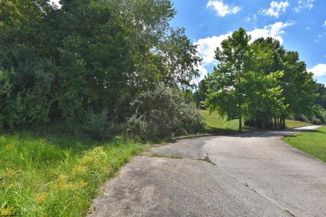 Lot 47 Birch Street Grafton WV 26354