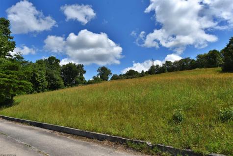 47 Birch Street Grafton WV 26354
