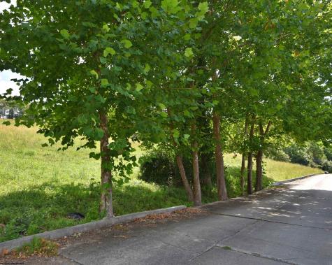 47 Birch Street Grafton WV 26354