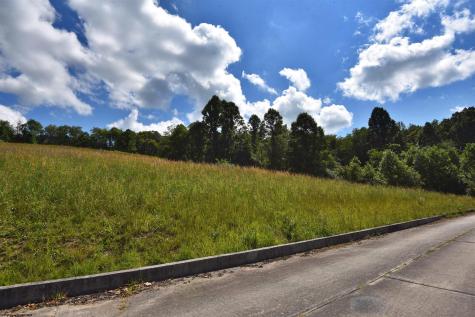 47 Birch Street Grafton WV 26354