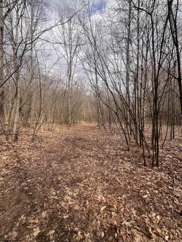 0 Sugar Valley Road Bruceton Mills WV 26525