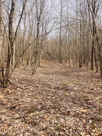 0 Sugar Valley Road Bruceton Mills WV 26525