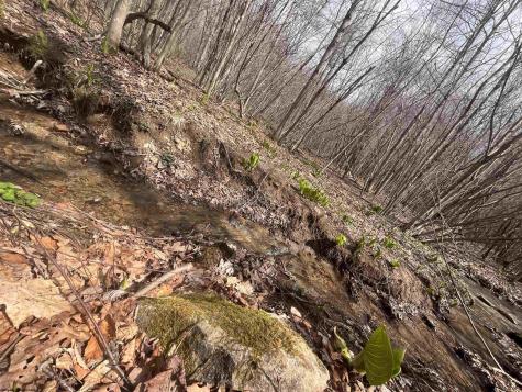 0 Sugar Valley Road Bruceton Mills WV 26525