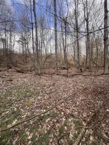 0 Sugar Valley Road Bruceton Mills WV 26525