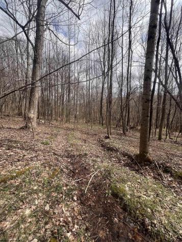 0 Sugar Valley Road Bruceton Mills WV 26525
