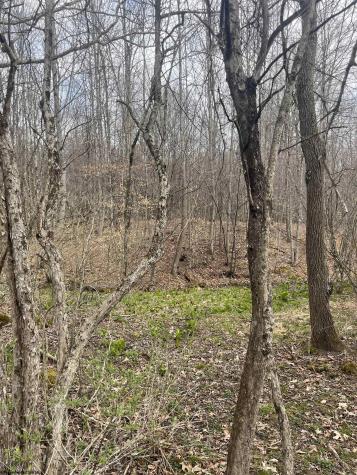 0 Sugar Valley Road Bruceton Mills WV 26525