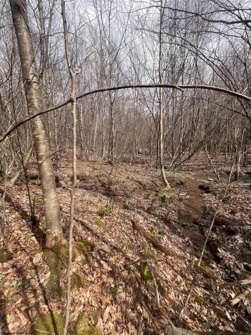 0 Sugar Valley Road Bruceton Mills WV 26525