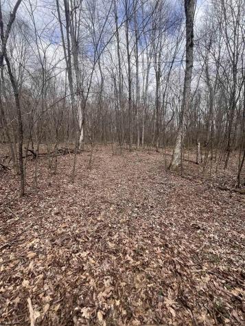 0 Sugar Valley Road Bruceton Mills WV 26525