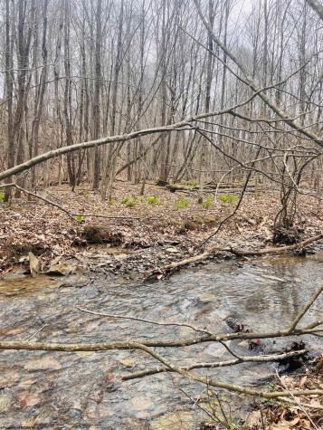 0 Sugar Valley Road Bruceton Mills WV 26525