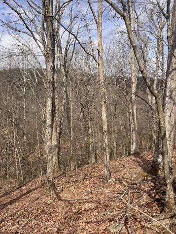 0 Sugar Valley Road Bruceton Mills WV 26525
