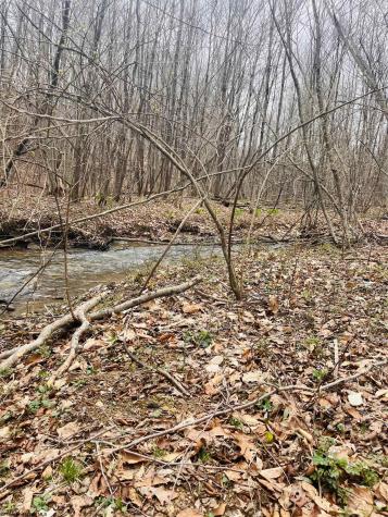 0 Sugar Valley Road Bruceton Mills WV 26525