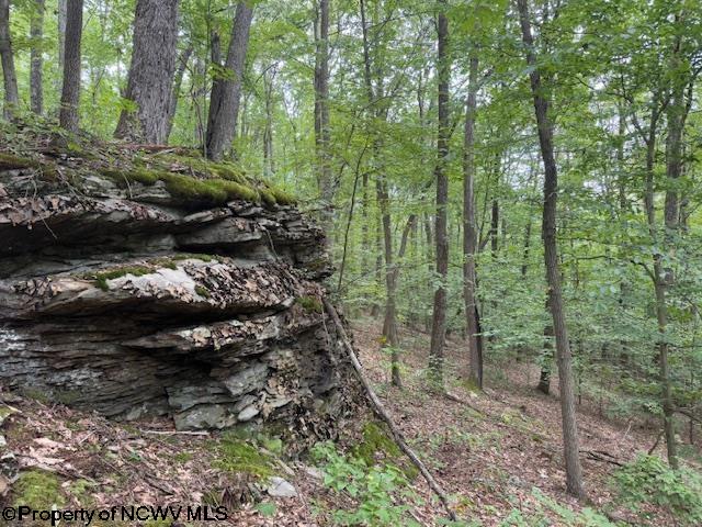 0 Simpson Road Belington WV 26250-0000