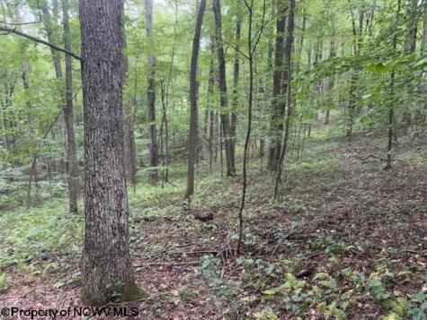 0 Simpson Road Belington WV 26250-0000