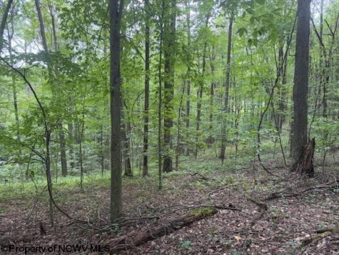 0 Simpson Road Belington WV 26250-0000