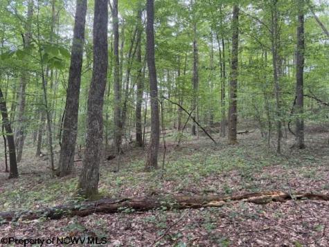 0 Simpson Road Belington WV 26250-0000