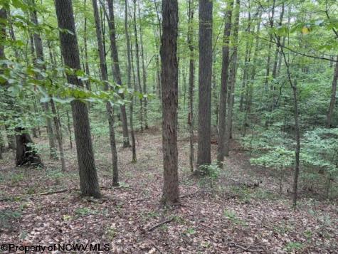 0 Simpson Road Belington WV 26250-0000