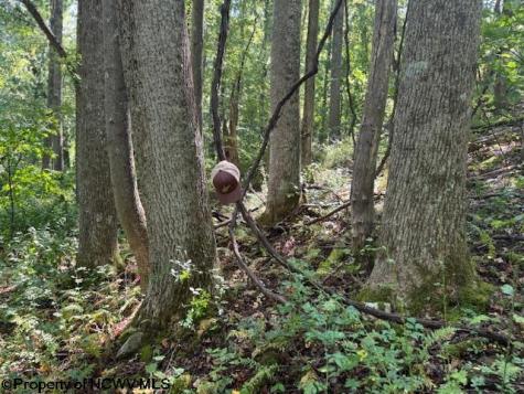 0 Simpson Road Belington WV 26250-0000