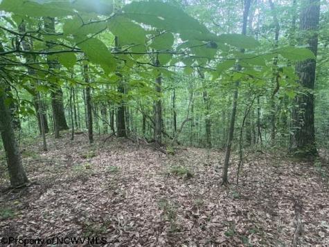 0 Simpson Road Belington WV 26250-0000