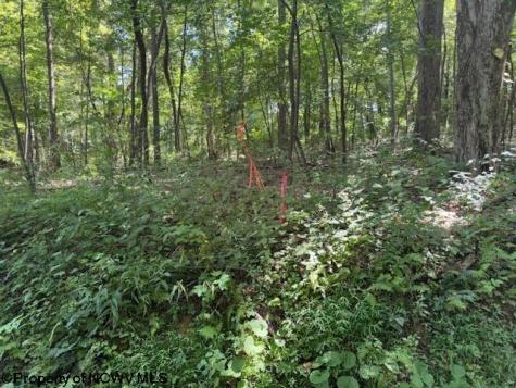 0 Simpson Road Belington WV 26250-0000