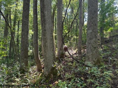 0 Simpson Road Belington WV 26250-0000