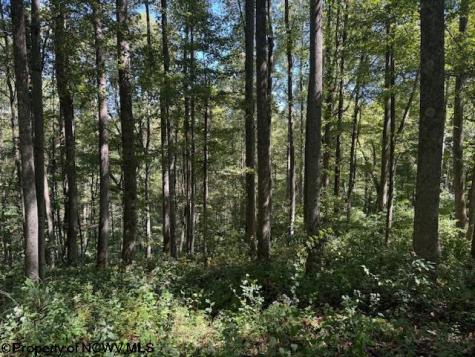 0 Simpson Road Belington WV 26250-0000