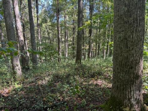 0 Simpson Road Belington WV 26250-0000