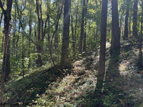 0 Simpson Road Belington WV 26250-0000