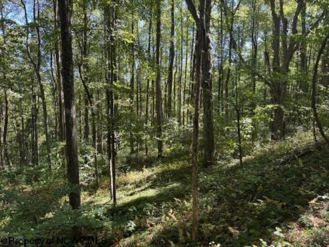 0 Simpson Road Belington WV 26250-0000