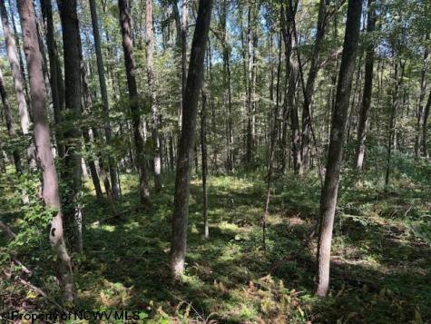 0 Simpson Road Belington WV 26250-0000