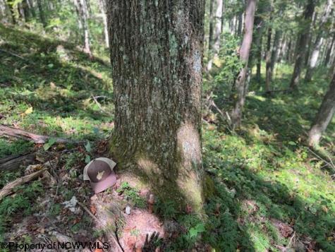 0 Simpson Road Belington WV 26250-0000