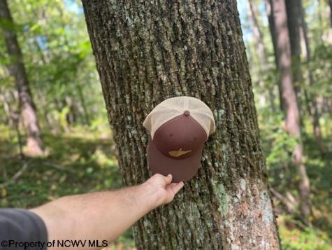 0 Simpson Road Belington WV 26250-0000