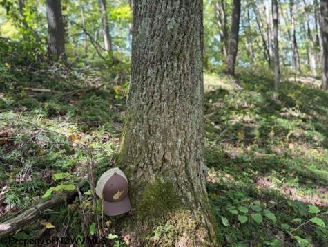 0 Simpson Road Belington WV 26250-0000