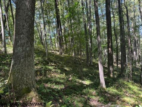 0 Simpson Road Belington WV 26250-0000