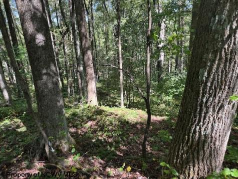 0 Simpson Road Belington WV 26250-0000