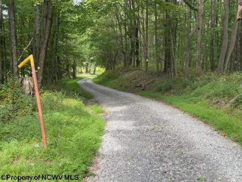 0 Simpson Road Belington WV 26250-0000