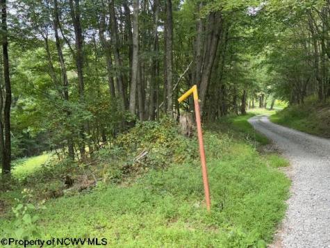 0 Simpson Road Belington WV 26250-0000