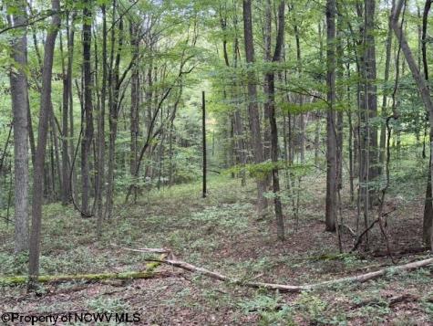 0 Simpson Road Belington WV 26250-0000