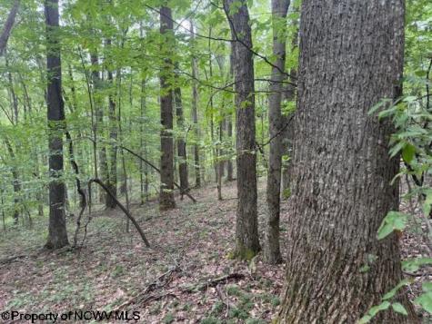 0 Simpson Road Belington WV 26250-0000