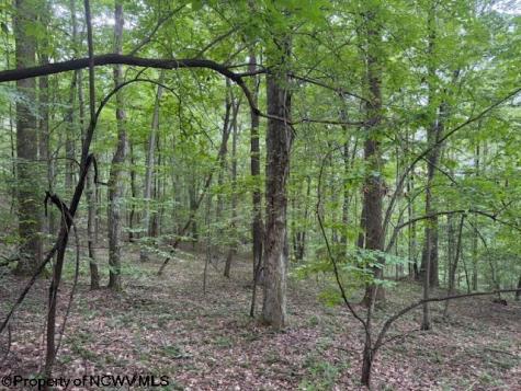 0 Simpson Road Belington WV 26250-0000