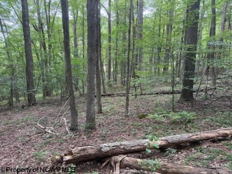 0 Simpson Road Belington WV 26250-0000