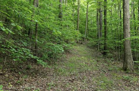 1 Sycamore Fork Road Wallace WV 26448