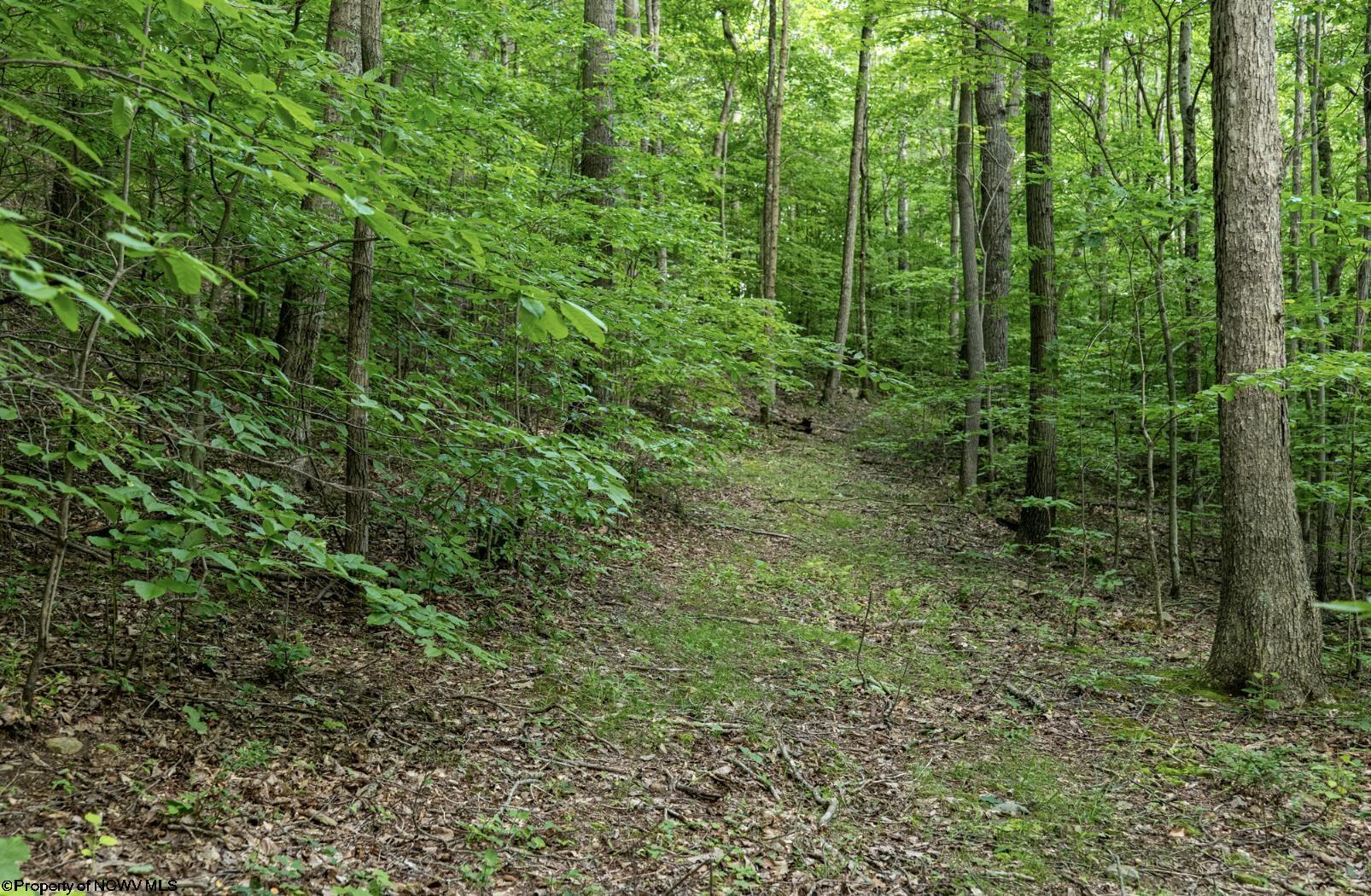 1 Sycamore Fork Road Wallace WV 26448