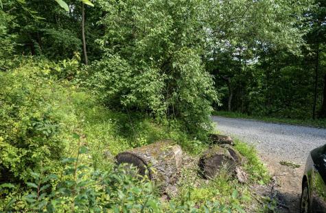 1 Sycamore Fork Road Wallace WV 26448