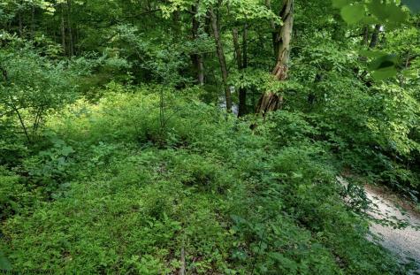 1 Sycamore Fork Road Wallace WV 26448