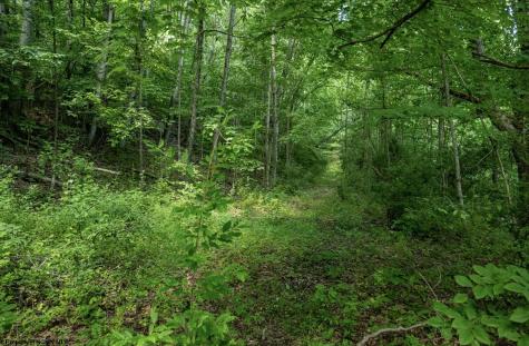 1 Sycamore Fork Road Wallace WV 26448