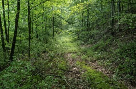1 Sycamore Fork Road Wallace WV 26448