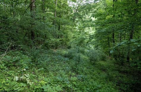 1 Sycamore Fork Road Wallace WV 26448