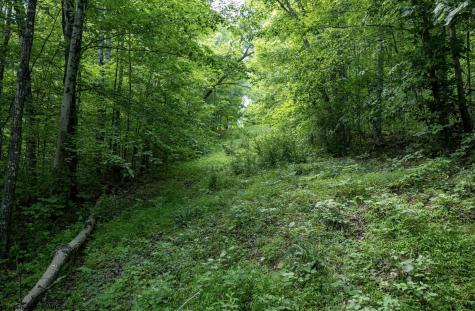 1 Sycamore Fork Road Wallace WV 26448