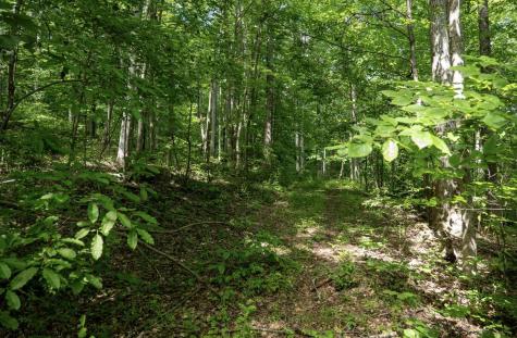 1 Sycamore Fork Road Wallace WV 26448