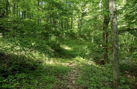 1 Sycamore Fork Road Wallace WV 26448